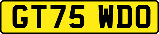 GT75WDO