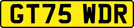 GT75WDR