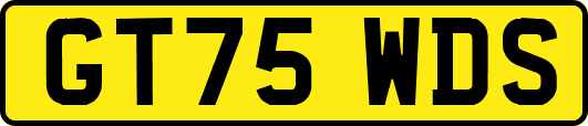 GT75WDS