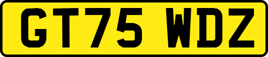 GT75WDZ