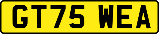GT75WEA