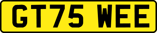 GT75WEE