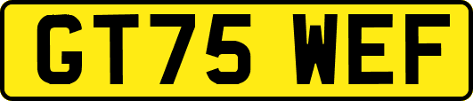 GT75WEF