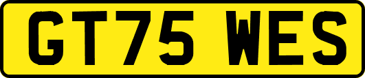 GT75WES