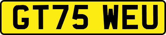 GT75WEU