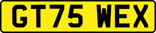 GT75WEX