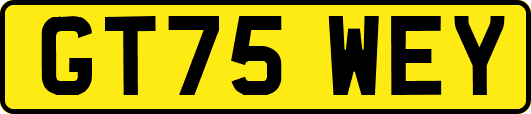 GT75WEY