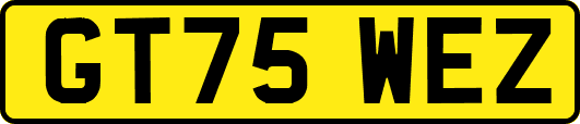 GT75WEZ
