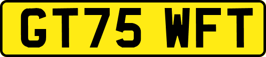 GT75WFT