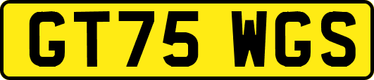 GT75WGS