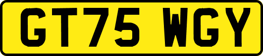 GT75WGY