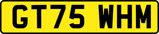 GT75WHM