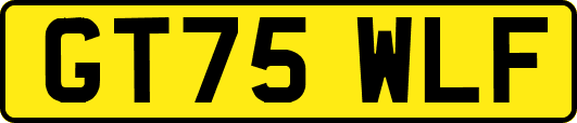 GT75WLF