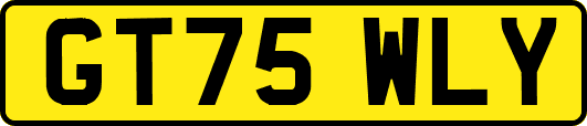 GT75WLY