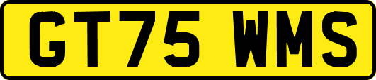 GT75WMS
