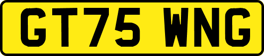GT75WNG