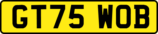 GT75WOB