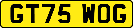 GT75WOG