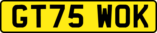 GT75WOK