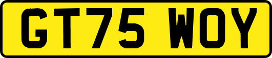 GT75WOY