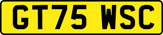 GT75WSC