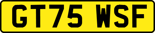 GT75WSF