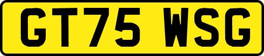 GT75WSG