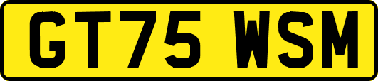 GT75WSM