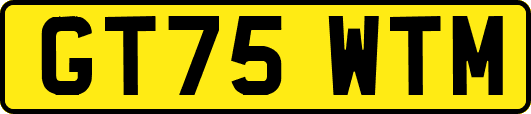 GT75WTM
