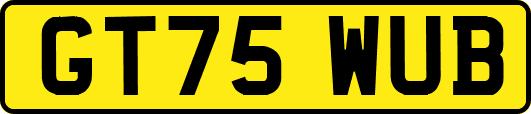 GT75WUB