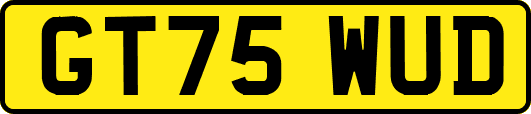 GT75WUD