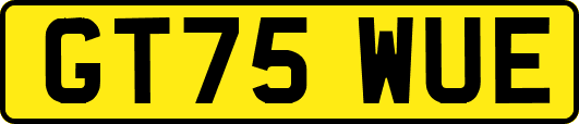 GT75WUE