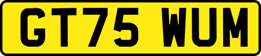 GT75WUM