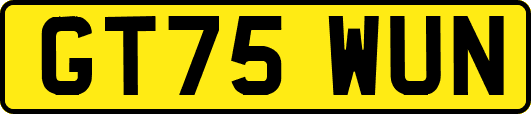 GT75WUN