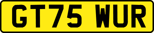 GT75WUR