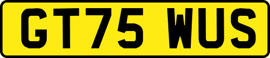 GT75WUS