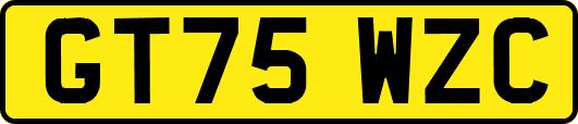 GT75WZC