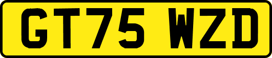 GT75WZD