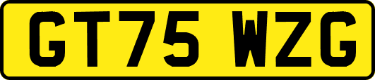 GT75WZG
