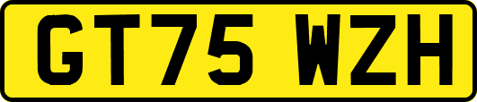 GT75WZH