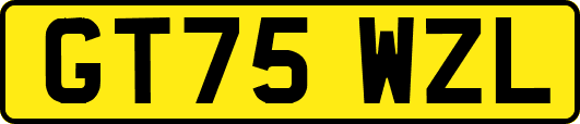 GT75WZL