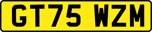GT75WZM