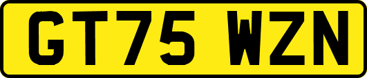 GT75WZN