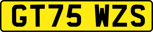 GT75WZS
