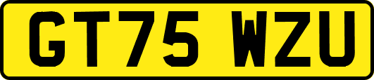 GT75WZU