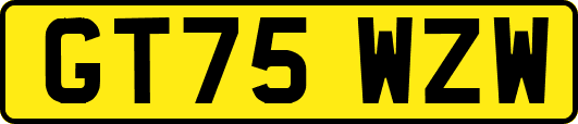 GT75WZW