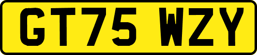 GT75WZY