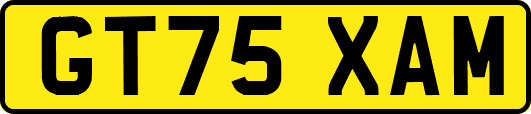GT75XAM