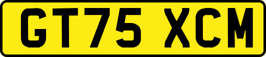 GT75XCM