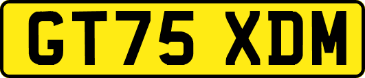 GT75XDM